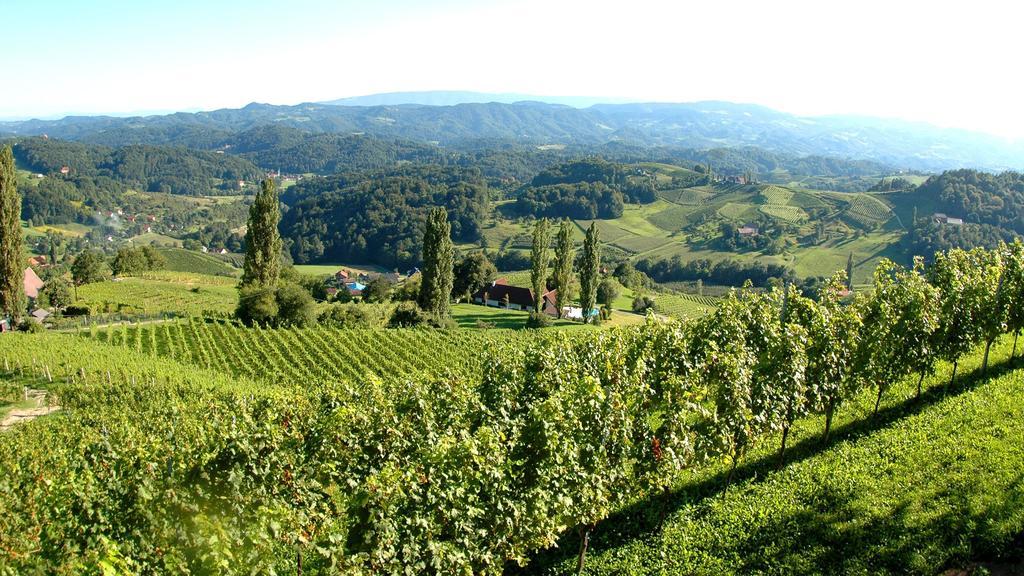 Hôtel Weingut Rebenhof Moarhauser à Ratsch an der Weinstraße Chambre photo